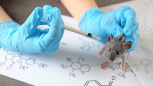 Liek proti rakovine: U myší zabrala injekcia proti rakovine