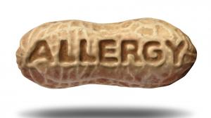 Alergia na arašidy: možno premôcť probiotikami!