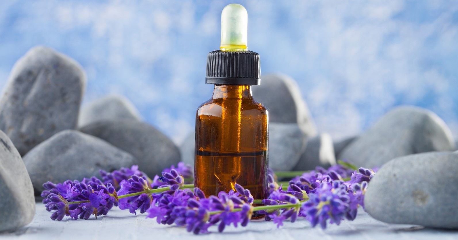 Levanduľa je jeden z najobľúbenejších aromaterapeutických olejov