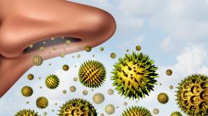 Liečba alergie na ambróziu –Pomôcť môže jeden enzým