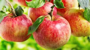 Červené jablko pokušenia a zdravia