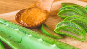 Aloe vera - 5 priaznivých účinkov na naše zdravie | Použitie Aloe Vera