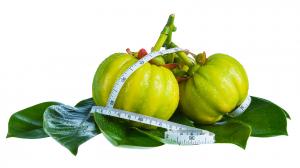 Garcinia cambogia v liečiteľstve