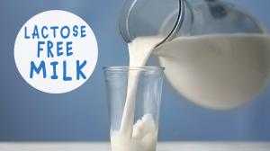 Bezlaktózové mlieko: prečo je lepšie, ak je  rastlinného pôvodu?