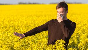 Peľová alergia: prevencia a liečba prírodnými metódami