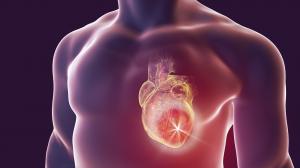 Poškodenie srdcového svalu - môže ho spôsobiť aj alkohol