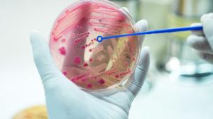 Nové antibotikum zahubí rezistentné baktérie