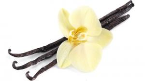 Vanilka: nielen jej vôňa má liečivé účinky