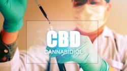 Na čo je dobrý CBD olej? Liečivé účinky konope lekárskej
